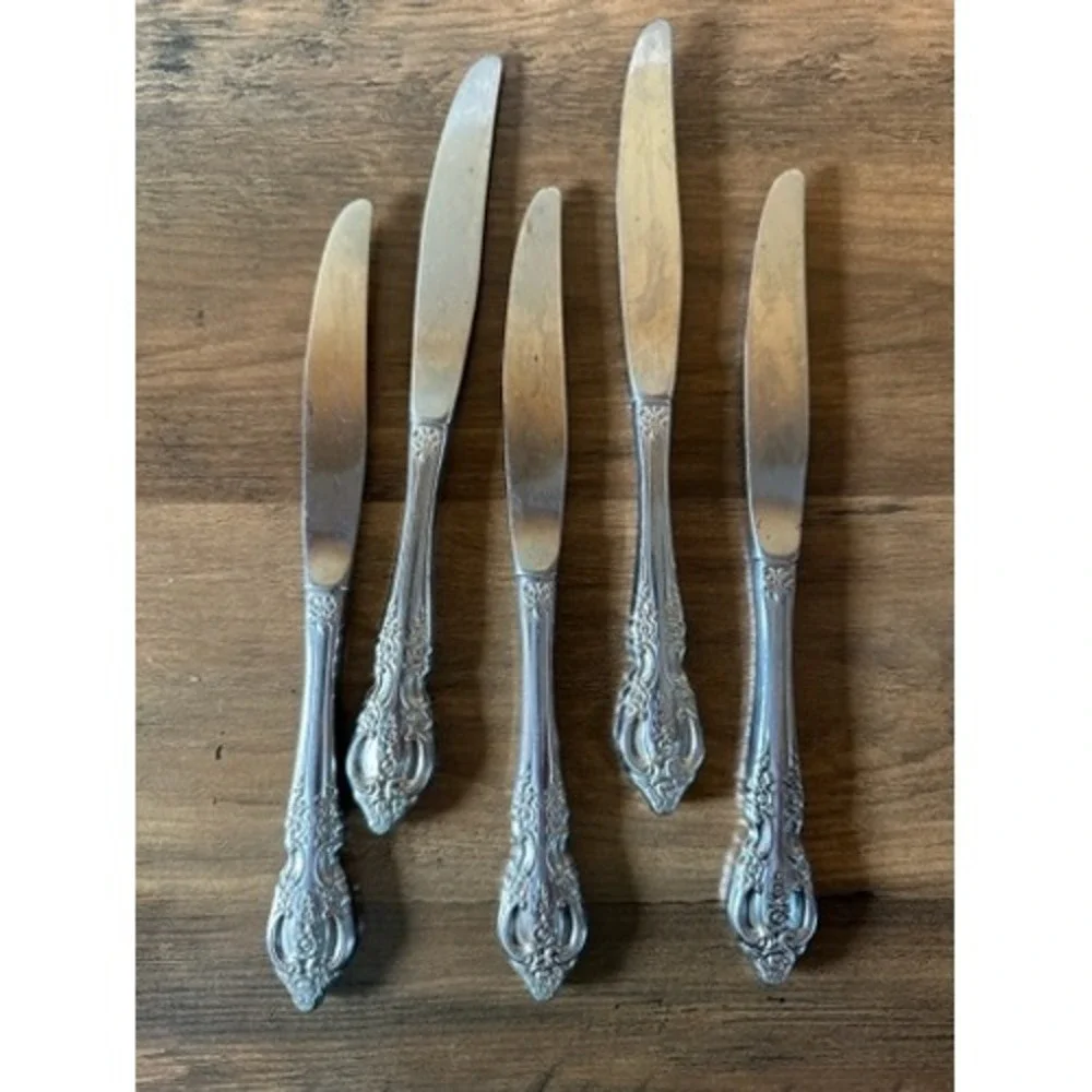 Vintage Oneida Renoir Pembrooke Stainless Flatware Dinner‎ Knives Set of 5
